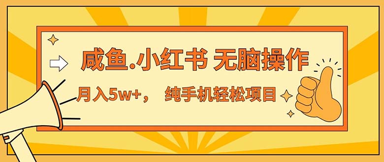 （11524期）2024最赚钱的项目，咸鱼，小红书无脑操作，每单利润500+，轻松月入5万+…-云长聊项目