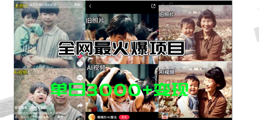 （11546期）全网爆火的AI让老照片动起来教程，蹭热点日赚3000+，内含免费工具一键…-云长聊项目