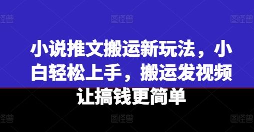 小说推文搬运新玩法，小白轻松上手，搬运发视频让搞钱更简单-云长聊项目