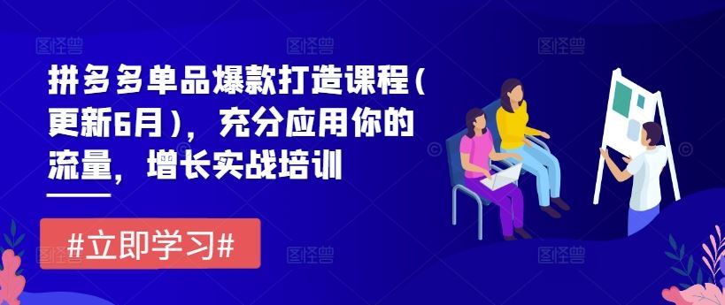 拼多多单品爆款打造课程(更新6月)，充分应用你的流量，增长实战培训-云长聊项目