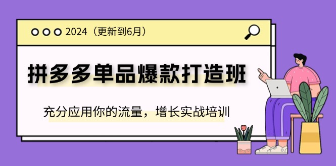 （11556期）2024拼多多-单品爆款打造班(更新6月)，充分应用你的流量，增长实战培训-云长聊项目