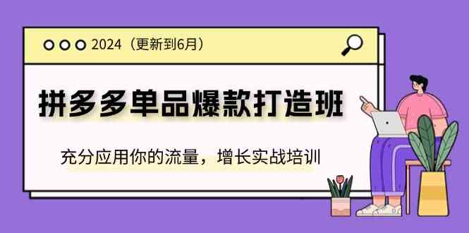 2024拼多多单品爆款打造班，充分应用你的流量，增长实战培训(更新6月)-云长聊项目