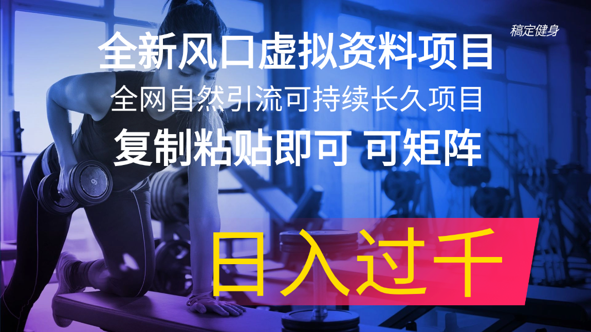 （11587期）全新风口虚拟资料项目 全网自然引流可持续长久项目 复制粘贴即可可矩阵…-云长聊项目