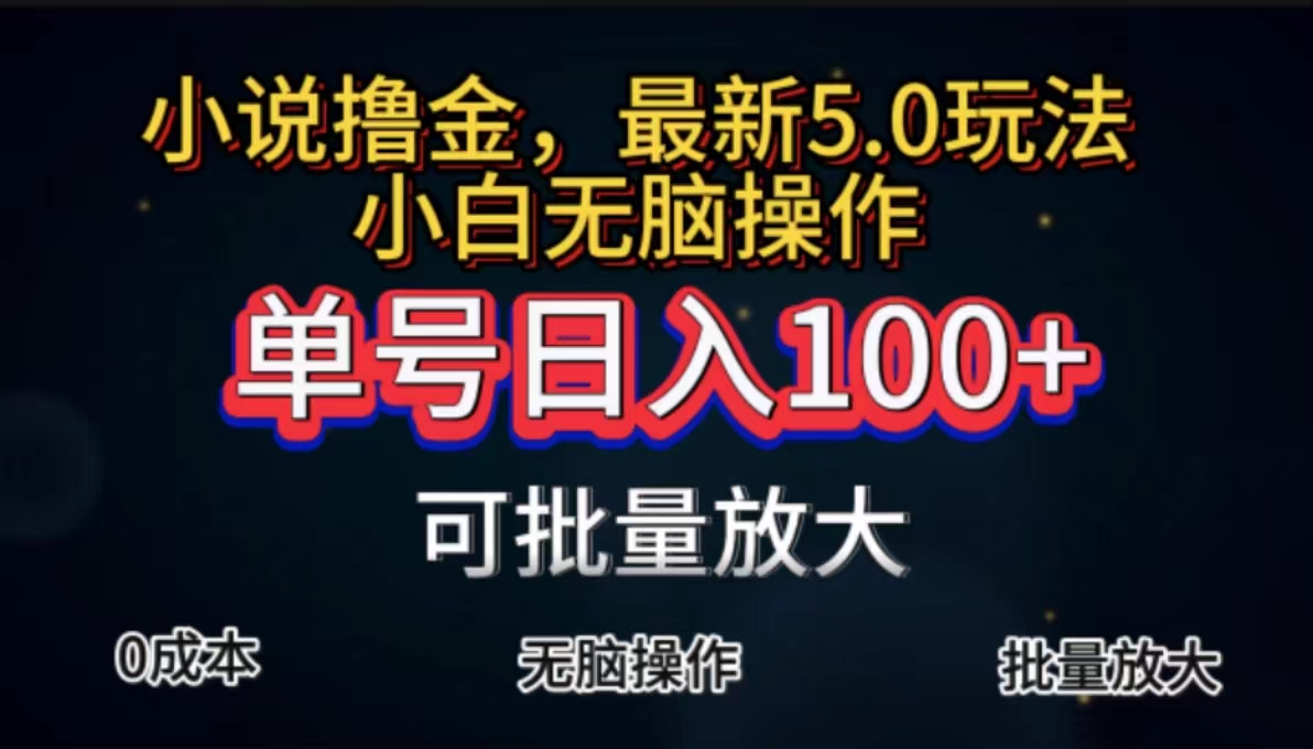 （11651期）全自动小说撸金，单号日入100+小白轻松上手，无脑操作-云长聊项目