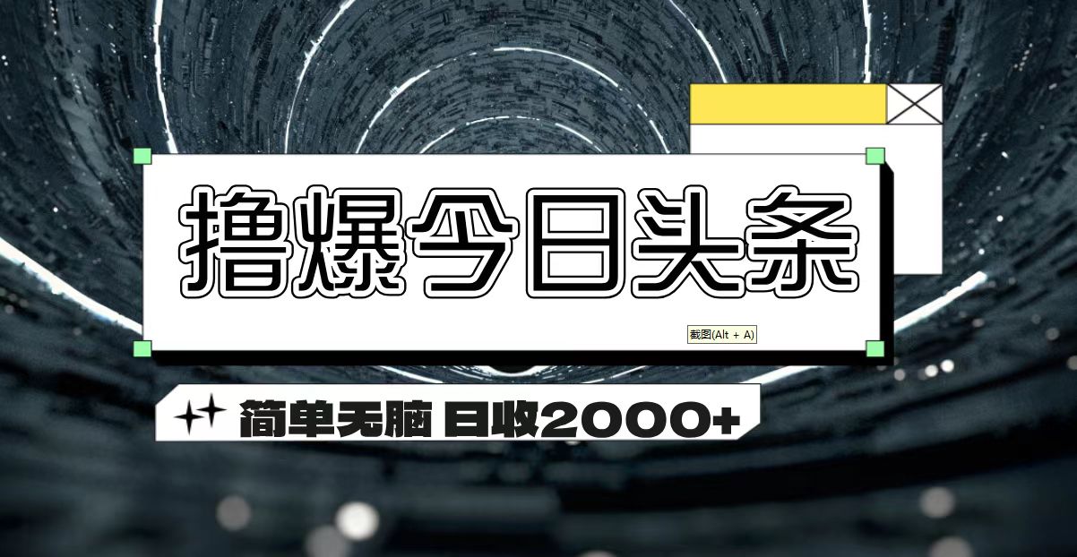 （11665期）撸爆今日头条 简单无脑操作 日收2000+-云长聊项目