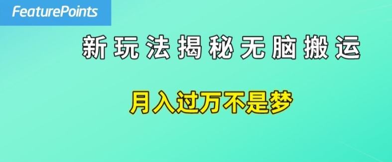 简单操作，每天50美元收入，搬运就是赚钱的秘诀【揭秘】-云长聊项目