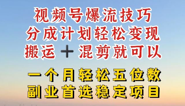 视频号爆流技巧，分成计划轻松变现，搬运 +混剪就可以，一个月轻松五位数稳定项目【揭秘】-云长聊项目