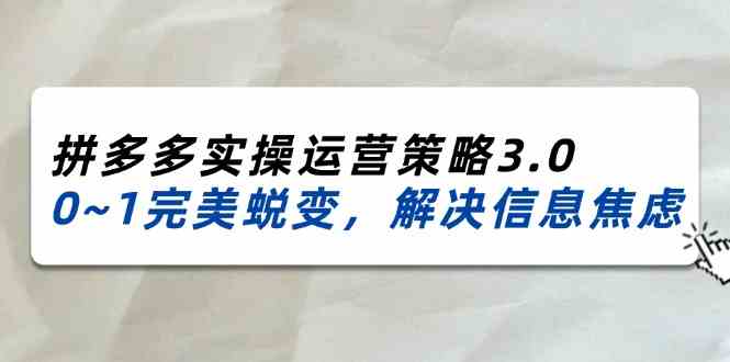 2024-2025拼多多实操运营策略3.0，0~1完美蜕变，解决信息焦虑（38节）-云长聊项目