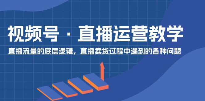 （11687期）视频号 直播运营教学：直播流量的底层逻辑，直播卖货过程中遇到的各种问题-云长聊项目