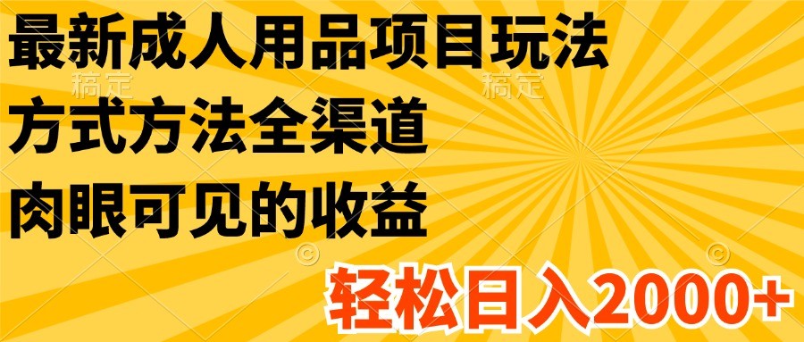最新成人用品项目玩法，方式方法全渠道，肉眼可见的收益，轻松日入2000+-云长聊项目