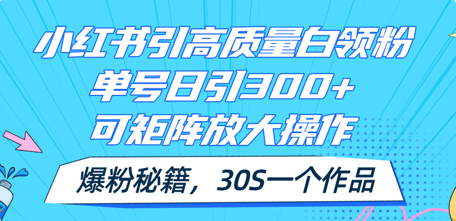 （11692期）小红书引高质量白领粉，单号日引300+，可放大操作，爆粉秘籍！30s一个作品-云长聊项目