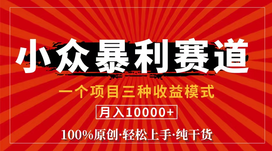 （11695期）视频号【中老年粉深信不疑】小众赛道 100%原创 手把手教学 新号3天收益…-云长聊项目