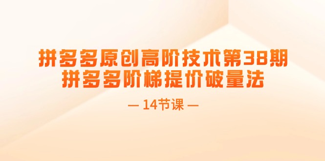（11704期）拼多多原创高阶技术第38期，拼多多阶梯提价破量法（14节课）-云长聊项目