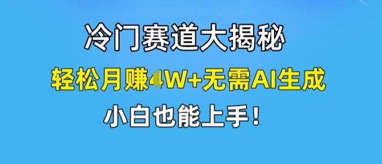 冷门赛道大揭秘，轻松月赚1W+无需AI生成，小白也能上手【揭秘】-云长聊项目