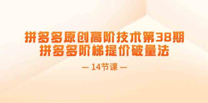 拼多多原创高阶技术第38期，拼多多阶梯提价破量法（14节课）-云长聊项目
