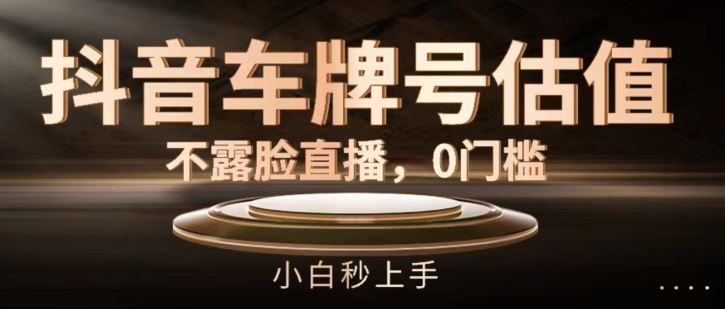抖音车牌号估值，不露脸直播，0门槛，小白秒上手【揭秘】-云长聊项目