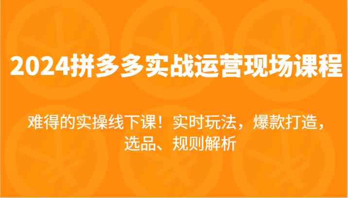 2024拼多多实战运营现场课，实时玩法，爆款打造，选品、规则解析，难得的实操线下课！-云长聊项目