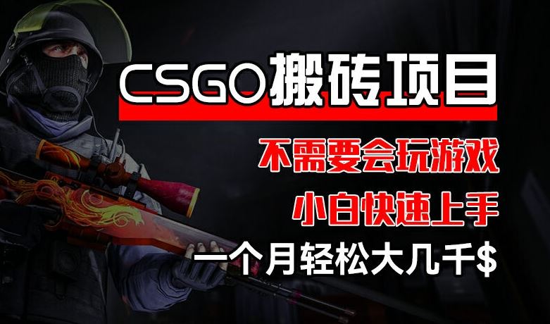 CSGO 装备搬砖项目，操作简单，不需要会玩游戏，小白也能快速上手，一个月轻松大几千【揭秘】-云长聊项目