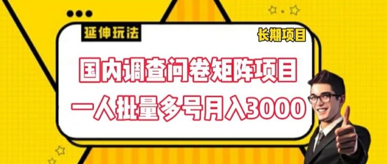 国内调查问卷矩阵项目，一人批量多号月入3000【揭秘】-云长聊项目