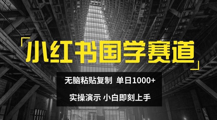 小红书国学赛道，无脑粘贴复制，单日1K，实操演示，小白即刻上手【揭秘】-云长聊项目