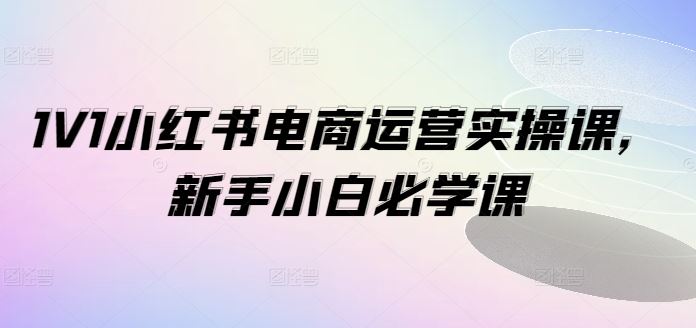 1V1小红书电商运营实操课，新手小白必学课-云长聊项目