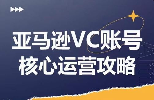 亚马逊VC账号核心玩法解析，实战经验拆解产品模块运营技巧，提升店铺GMV，有效提升运营利润-云长聊项目