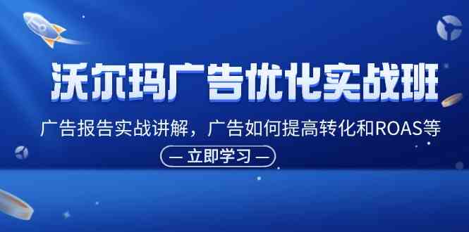 沃尔玛广告优化实战班，广告报告实战讲解，广告如何提高转化和ROAS等-云长聊项目