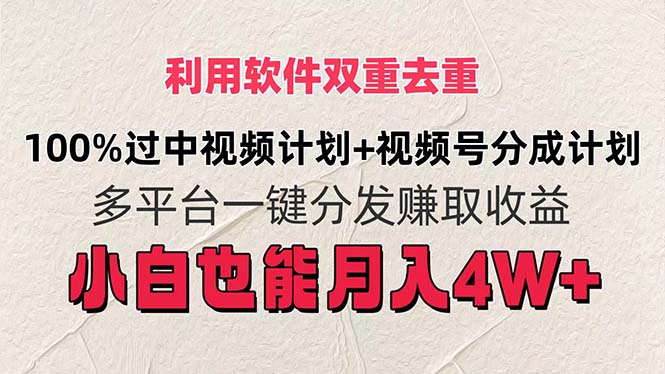 （11862期）利用软件双重去重，100%过中视频+视频号分成计划小白也可以月入4W+-云长聊项目