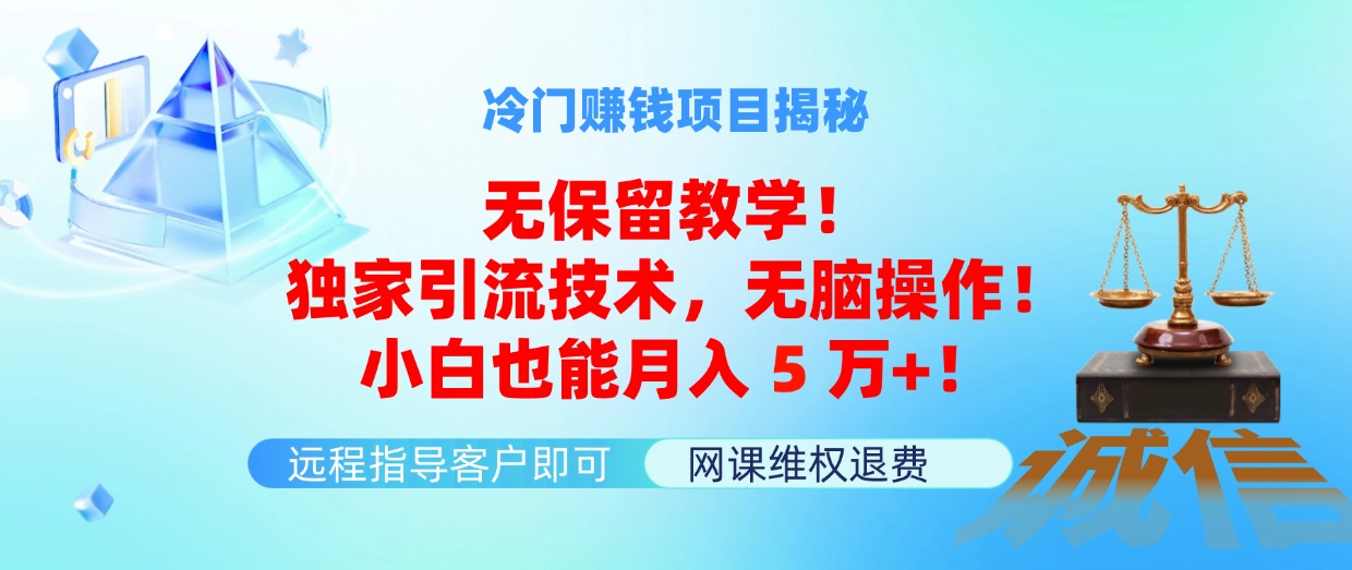 （11864期）冷门赚钱项目无保留教学！独家引流技术，无脑操作！小白也能月入5万+！-云长聊项目
