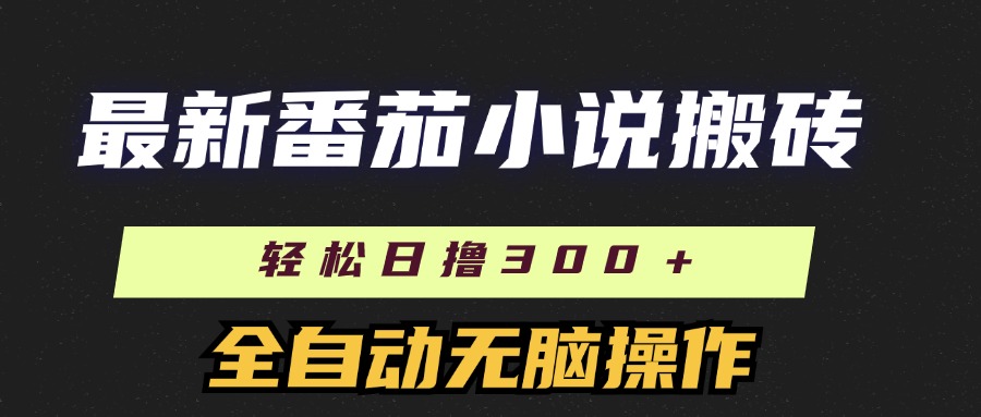 （11904期）最新番茄小说搬砖，日撸300＋！全自动操作，可矩阵放大-云长聊项目