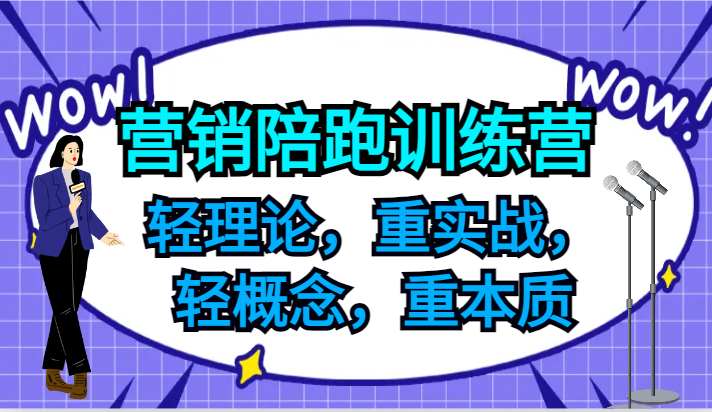 营销陪跑训练营，轻理论，重实战，轻概念，重本质，适合中小企业和初创企业的老板-云长聊项目