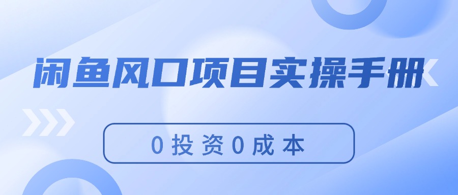 （11923期）闲鱼风口项目实操手册，0投资0成本，让你做到，月入过万，新手可做-云长聊项目
