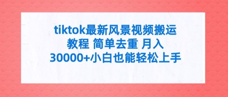 tiktok最新风景视频搬运教程 简单去重 月入3W+小白也能轻松上手【揭秘】-云长聊项目