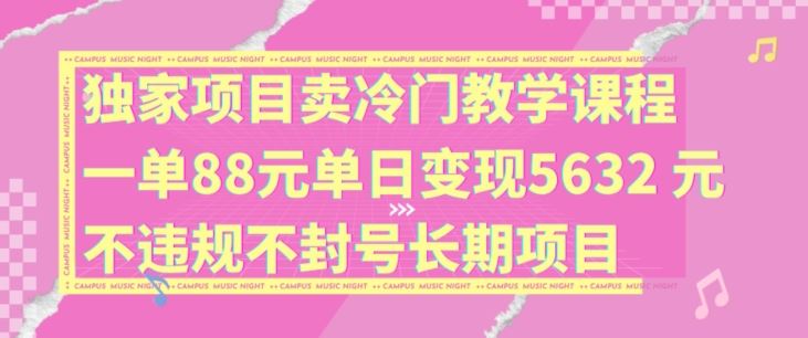 独家项目卖冷门教学课程一单88元单日变现5632元违规不封号长期项目【揭秘】-云长聊项目