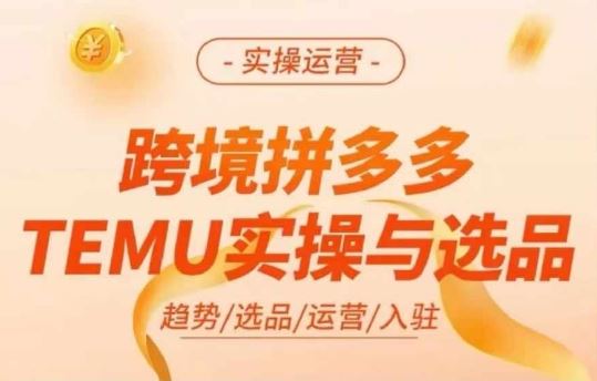 跨境拼多多TEMU实操与选品，多多temu跨境选品运营实操-云长聊项目