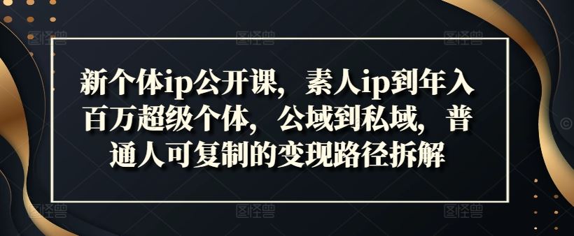 新个体ip公开课，素人ip到年入百万超级个体，公域到私域，普通人可复制的变现路径拆解-云长聊项目