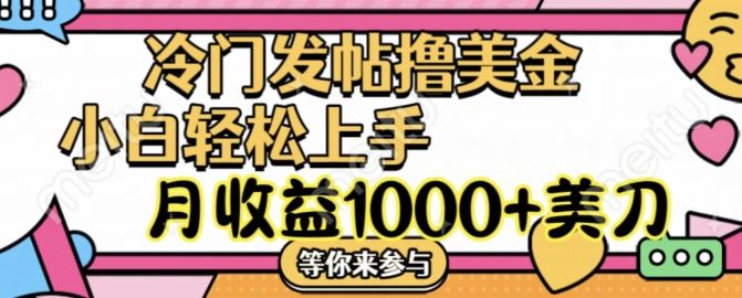 冷门发帖撸美金项目，月收益1000+美金，简单无脑，干就完了【揭秘】-云长聊项目