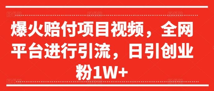 爆火赔付项目视频，全网平台进行引流，日引创业粉1W+【揭秘】-云长聊项目