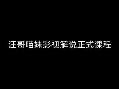 汪哥影视解说正式课程：剪映/PR教学/视解说剪辑5大黄金法则/全流程剪辑7把利器等等-云长聊项目