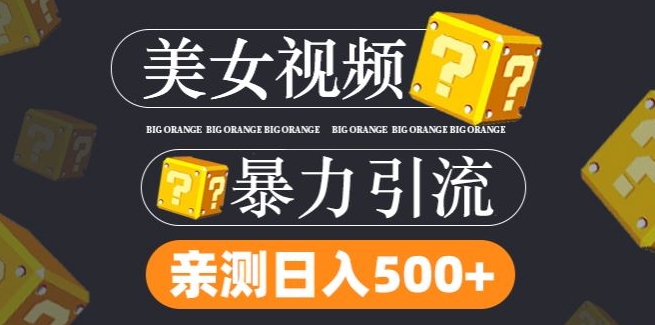 搬运tk美女视频全网分发，日引s粉300+，轻松变现，不限流量不封号-云长聊项目