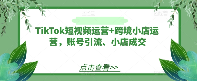 TikTok短视频运营+跨境小店运营，账号引流、小店成交-云长聊项目