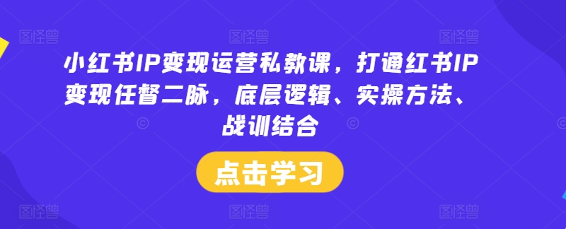 小红书IP变现运营私教课，打通红书IP变现任督二脉，底层逻辑、实操方法、战训结合-云长聊项目