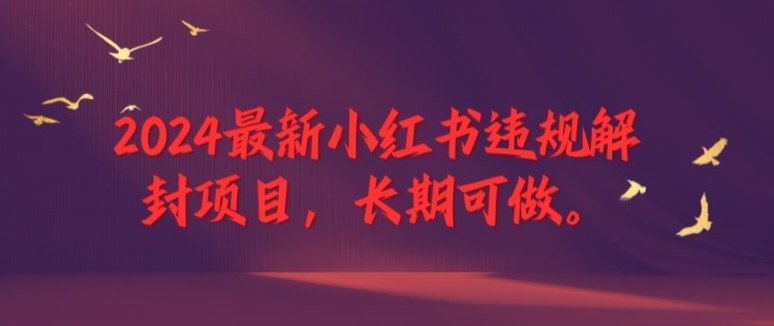 2024最新小红书违规解封项目，长期可做，一个可以做到退休的项目-云长聊项目