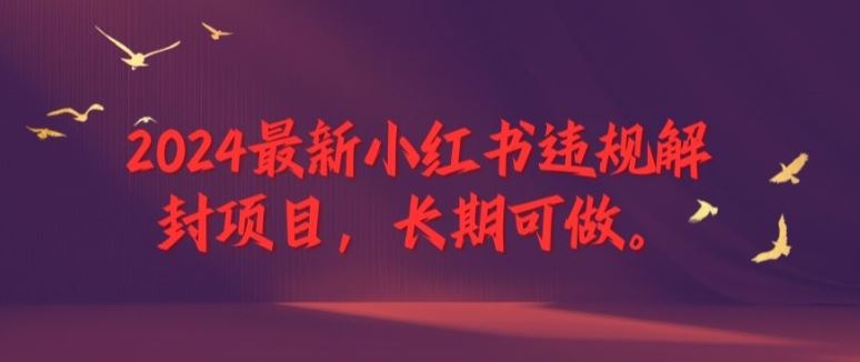 2024最新小红书违规解封项目，长期可做，一个可以做到退休的项目【揭秘】-云长聊项目
