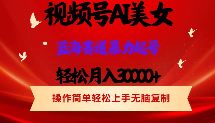 （12178期）视频号AI美女跳舞，轻松月入30000+，蓝海赛道，流量池巨大，起号猛，当…-云长聊项目