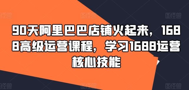 90天阿里巴巴店铺火起来，1688高级运营课程，学习1688运营核心技能-云长聊项目
