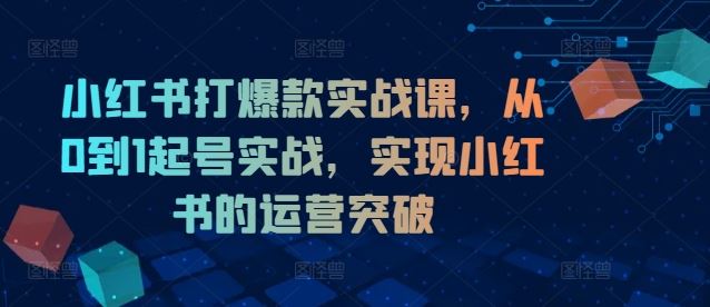 小红书打爆款实战课，从0到1起号实战，实现小红书的运营突破-云长聊项目