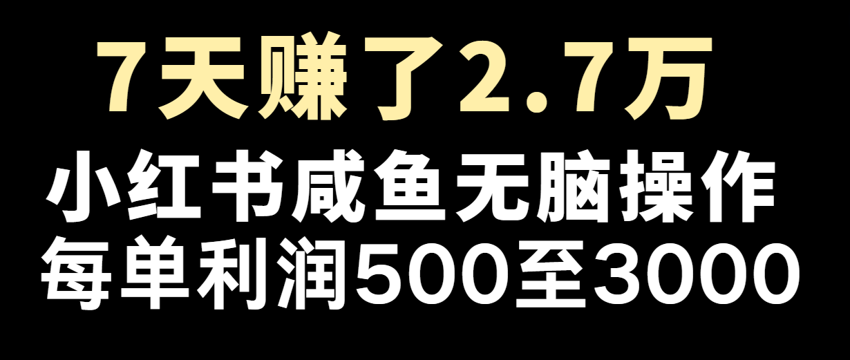 七天赚了2.7万！每单利润最少500+，轻松月入5万+小白有手就行-云长聊项目