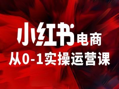 小红书电商从0-1实操运营课，让你从小白到精英-云长聊项目