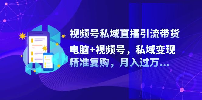 （12249期）视频号私域直播引流带货：电脑+视频号，私域变现，精准复购，月入过万…-云长聊项目